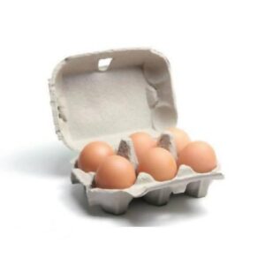 Eggs Farm Made- Free Range