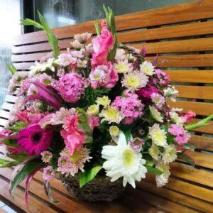 Assorted flower pot