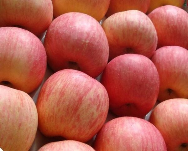 Fuji Red Apple (01 Nos)