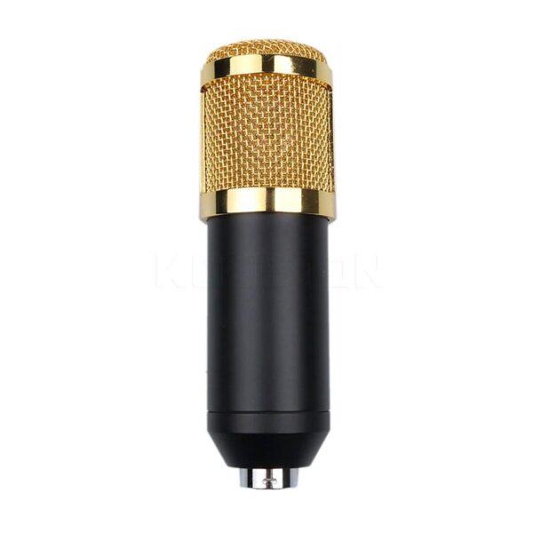 BM800 Professional Microphone Condenser Microphone for Video Radio Studio Computer Recording with Shock Mount + FREE USB Sound Card