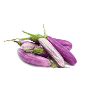 Brinjal Wambatu Sri Lanka