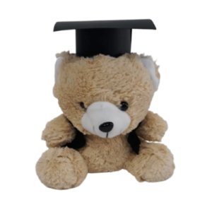 10inch graduation teddy