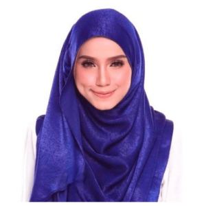 an image of a Blue colour shawl
