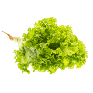 Organic Salad 250g