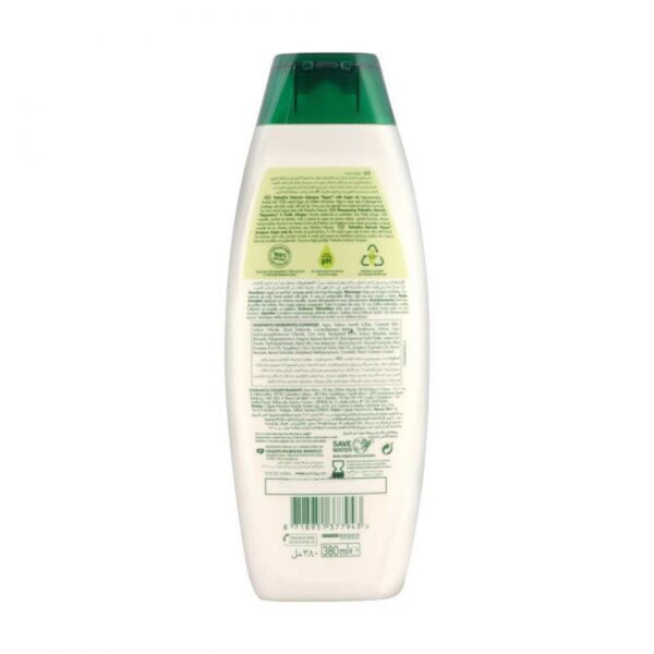 Palmolive Moisturizing Olive Oil Shampoo 380ml - Image 2