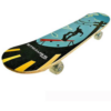 Skate Board for Kids & Adults