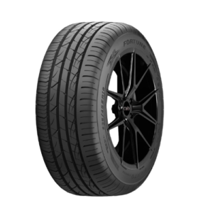 Fortune Thailand FSR 702 225.40.18 Tyre