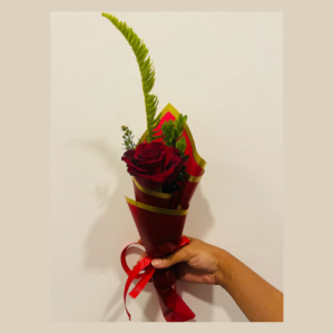 Magic of Love Single Red Rose