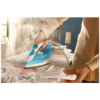 An image of a Steam Iron