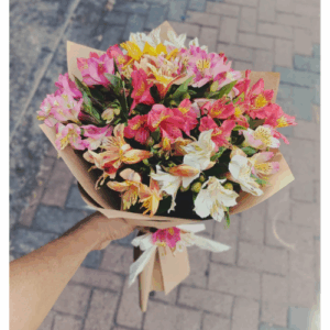 Alstro Flower Bunch