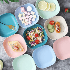 Plastic Dinner Plate Set