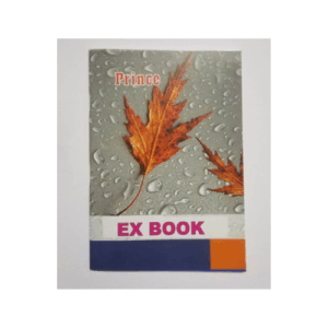 Prince Ex Small Book Single Rule 120pg