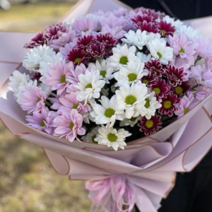 Pastel Chrysanthemum Blooms Flower Bunch