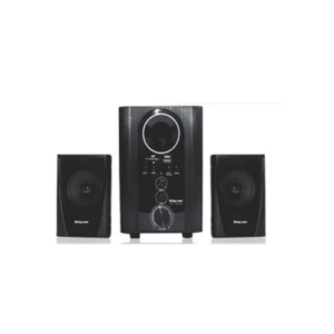 RPSW-842 BT Subwoofer